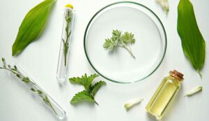 Was ist zertifizierte Naturkosmetik und was darf rein?
