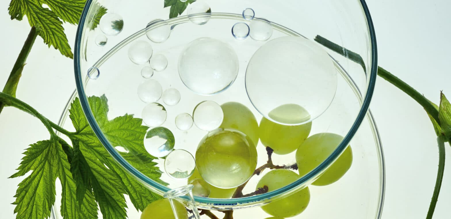 Resveratrol wird aus der Weintraube gewonnen.