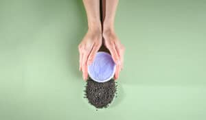 Bakuchiol: 5 Fakten, die du zur Wirkung der sanften Retinol-Alternative kennen solltest!