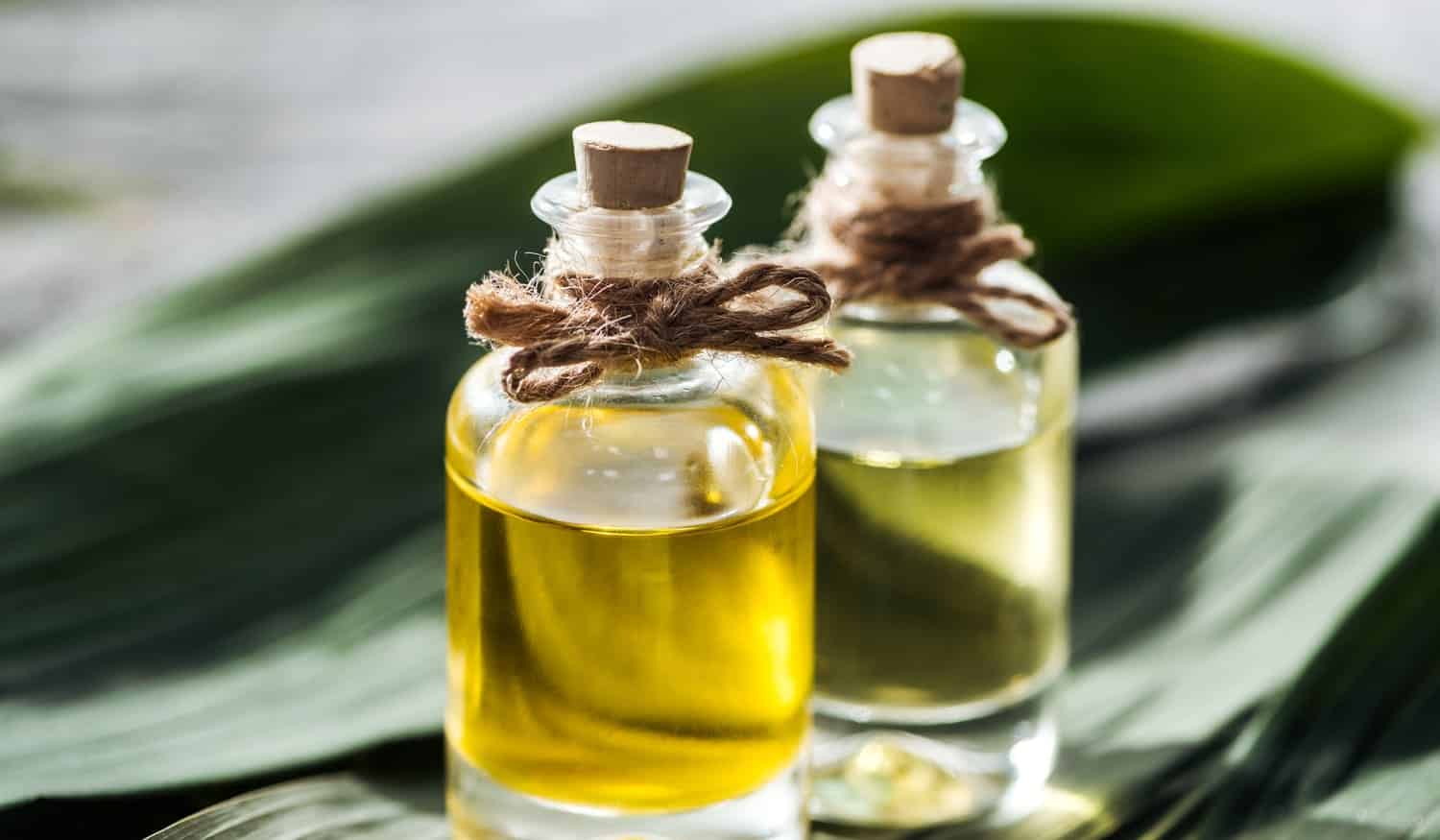 Palmöl in Kosmetik: Das ist die ganze Wahrheit über den Inhaltsstoff!