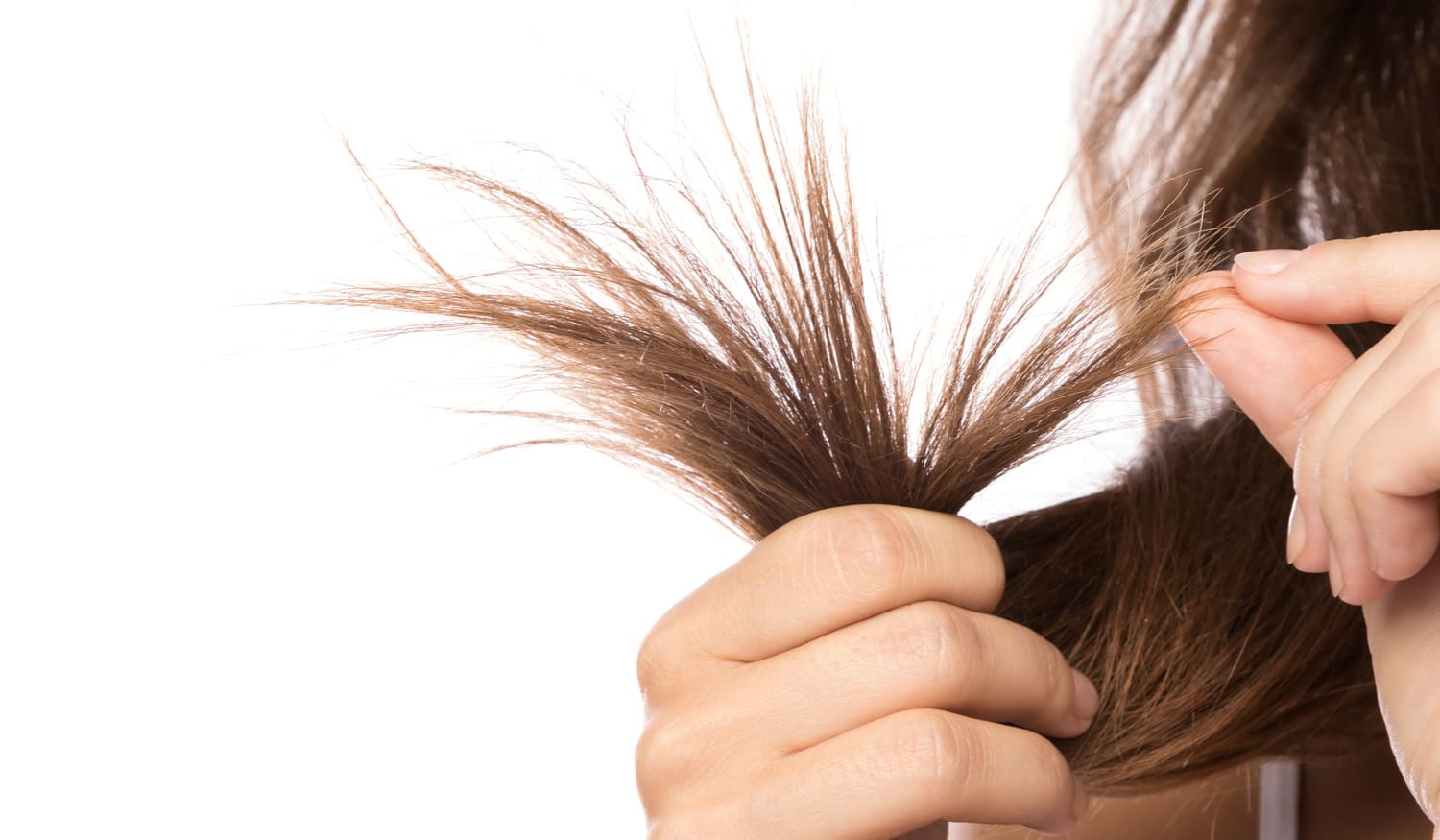 Spliss vermeiden: Diese 13 Profi-Tipps brauchst du in deiner Haarpflege-Routine