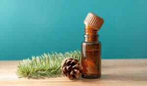 Teebaumöl gegen Pickel: Was die Wissenschaft wirklich sagt